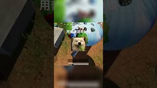 怎么对待你的男朋友＃和平精英＃pubg＃绝地求生＃搞笑吃鸡