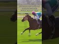 【競馬mad】未来に伝えたい名馬 フランケル