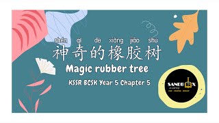 神奇的橡胶树 Magic Rubber Tree (KSSR BCSK Year 5 Chapter 5)