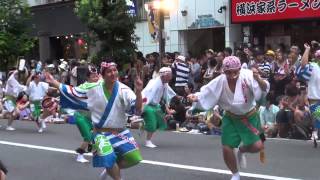 第５７回高円寺阿波おどり　たつのおとしご連