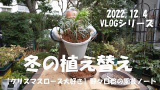 2022.12.4 冬の植え替え