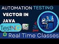 Vector in Java | Software Testing Online Classes