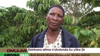 Omulimi Asinga: Sisinkana alima n'okulunda ku yiika 26.