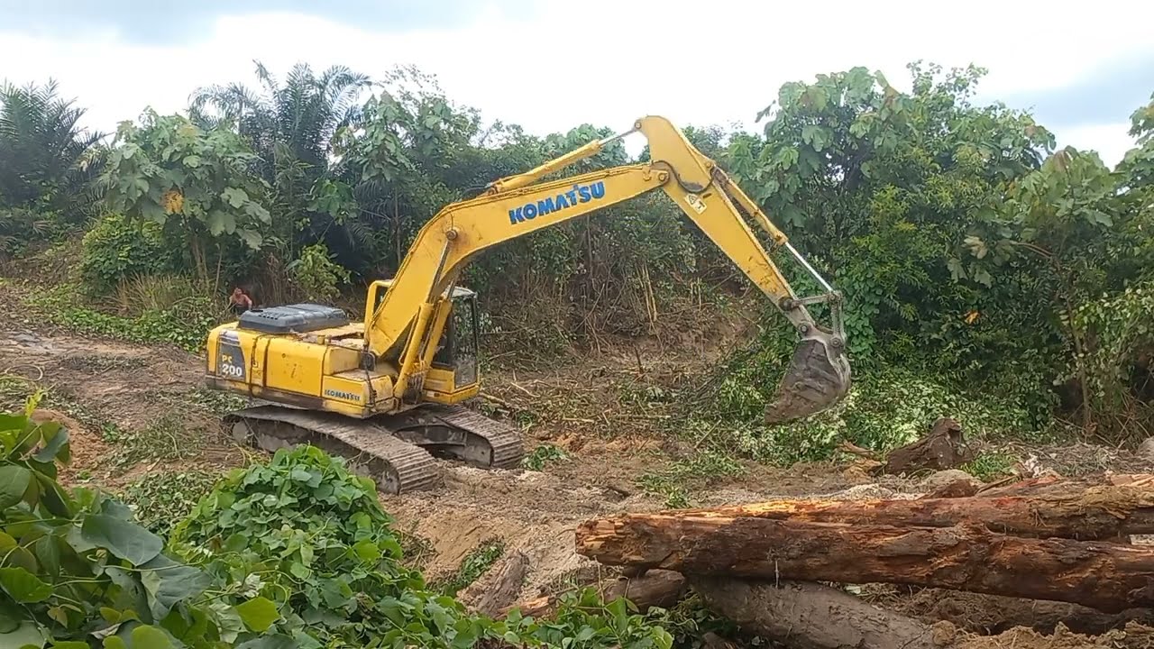 Excavator Melakukan Perbaikan Jalan Dan Jembatan Di Perkebunan Kelapa ...