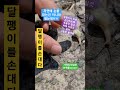 달팽이에게 손을 대 산책 flower 달팽이 travel 길 가덕도 nature 여행 240613외양포