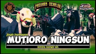 DJ BANTENGAN ‼️ MUTIORO NINGSUN ‼️ LEMBU LAMPE'AN ‼️ STYLE GAYENG ‼️