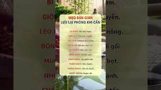 Bí quyết giữ gìn sức khỏe vàng: Các mẹo dân gian gia truyền hiệu quả tức thì