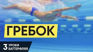 САМОЕ ВАЖНОЕ В БАТТЕРФЛЯЕ - ГРЕБОК РУКАМИ. УРОК 3. УРОКИ БАТТЕРФЛЯЯ @ Swimmate ru