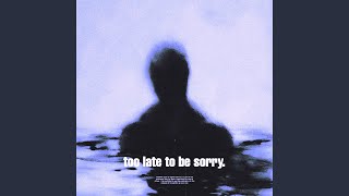 too late to be sorry. (Slowed + Reverb)