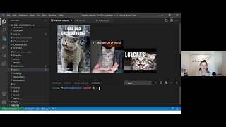 Hello World! in 3 languages: beginning coding with C# Python and Javascript | LRN239