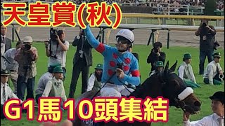 怪物アーモンドアイ含む豪華G1馬10頭出走！歴史的レース⭐️を観に東京へ🗼　3本立て