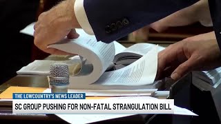 VIDEO: State organization pushes lawmakers to pass non-fatal strangulation bill in 2025