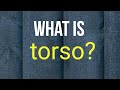 What is torso?