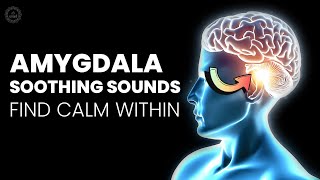 Amygdala Soothing Sounds | Brainwave Frequencies | Find Calm Within | Remove Anxiety \u0026 Panic Attacks