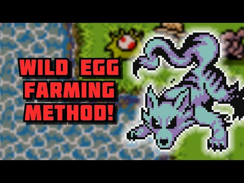 Monster Crown Wild Egg Farming Guide!