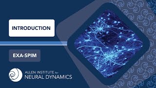 Introduction | ExA-SPIM