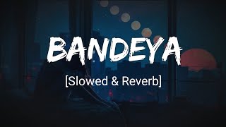 Bandeya - Arijit Singh [Slowed+Reverb] | Dil Juungle song | Tunemusic