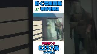 動く電車図鑑 特急電車編　特急踊り子E257系2000番台 #shorts