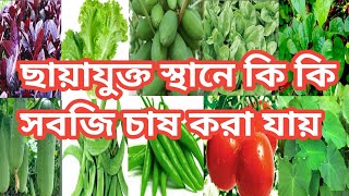 ছায়াযুক্ত স্থানে কি কি শাকসবজি চাষ করা যায়,জানতে চান তাহলে ভিডিওটি এখনি দেখে নিন vegetables  shady ,