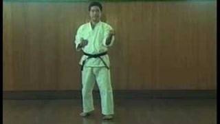 Gekisai dai ichi Kata