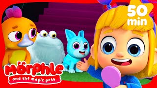 Magic Pet Talent Show | Morphle and the Magic Pets | Cartoons for Kids - Explore With Me!