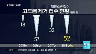 [TJB뉴스] '도심 속 흉기' 고드름 주의하세요