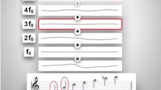 The harmonics of a note