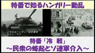 特番で知るハンガリー動乱　特番「冷戦」　～民衆の蜂起とソ連軍介入～　【日本語吹替】