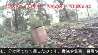 わけ隔てない 喫茶去（きっさこ