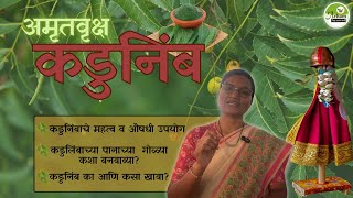 Neem Tree| अमृतवृक्ष कडुनिंब |