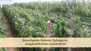 Beszélgetés Székely Gyöngyvér biogazdálkodási szakértővel