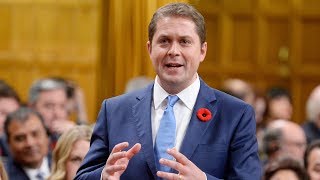 Question Period: Stats Canada data privacy and byelections - October 31, 2018