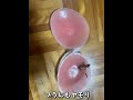 沖縄あるあるヤールー編