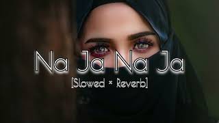 Na Ja (Slowed And Reverb) | Pav Dharia | Don Jaan | Manav Sangha | Manmord Sidhu | Patar Lofi