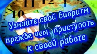 Посчитайте свои биоритмы, и узнаете в какой фазе вы сейчас находитесь + или –