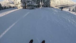 My favorite run at.. (Lookout pass ski 🎿 resort) I call this one.. POV in the trees!! Lol 😆