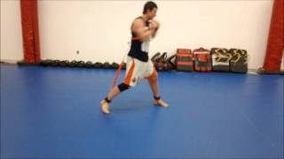 Introducing the Stroops Python Striker - MMA Speed Training