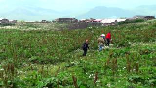 Armenian Extreme Club - Jeeping in Ijevan mountains