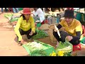 lucia harvesting green vegetables and white radish to the market sell cooking lucia s daily life