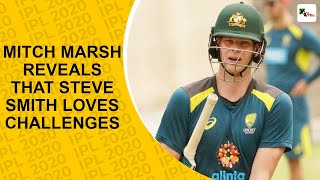 Steve Smith loves challenges, says Mitch Marsh after he clears 2nd concussion test