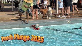 Pooch Plunge 2025!