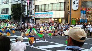 2015年 茂原七夕祭り 阿波踊り①