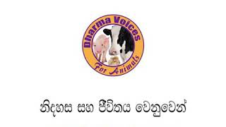 සත්ත්ව සුභසාදන පනත ඔවුන්ගේ ජීවත්වීමේ අයිතියේ සහතිකයයි \