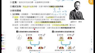高中選修生物( I )3-1(A)遺傳的染色體學說之驗證