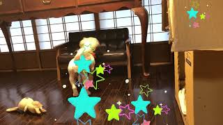 動画が送られてきた♡初めてのソファ【シーズー犬】No.132