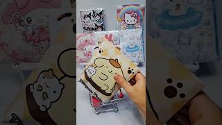 💛PomPomPurin💛What Next?🙄Unbox Blindbag with me🌈🫡#shorts #viralshorts #pompompurin #blindbag #diy