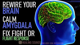 Rewire your Brain | Calm your Amygdala | Let Go of Anxiety and PTSD | Fix Fight or Flight Response