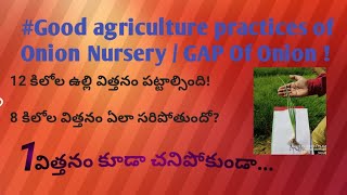 #Onion Nursery Management ** @ఒక్క విత్తనం కూడా చనిపోకుండా నారుమడికి ఏఏ ఎరువులు వాడుకోవాలి .