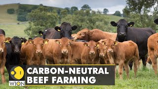 Australia looks forward to carbon-neutral Beef farming by 2030 to fight against climate change