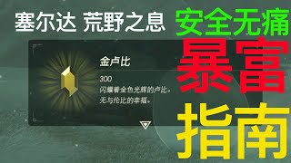 #065 凭本事赢的钱 为什么不要？ 荒野之息刷卢比教程【馒头视频】